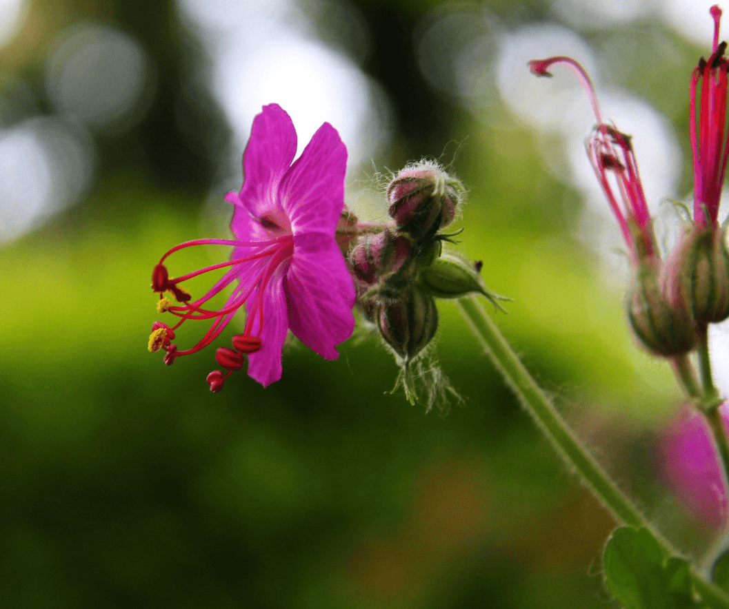 2026年度 UTBC 新歓エントリー受付開始のお知らせ